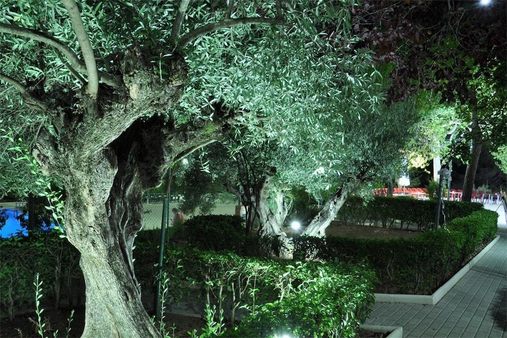 La Fuensanta Hostal-Rural Horche エクステリア 写真