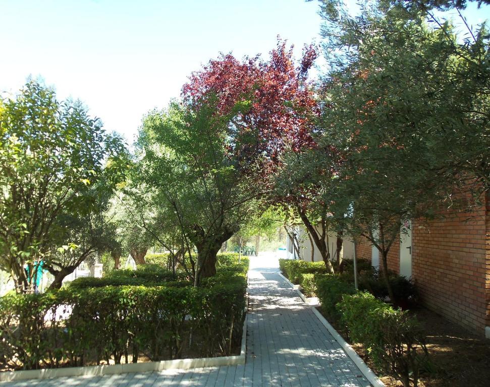 La Fuensanta Hostal-Rural Horche エクステリア 写真