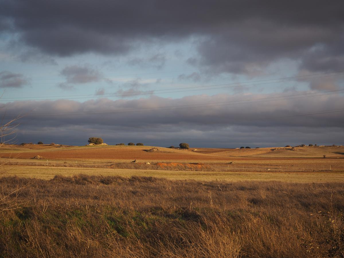 La Fuensanta Hostal-Rural Horche エクステリア 写真